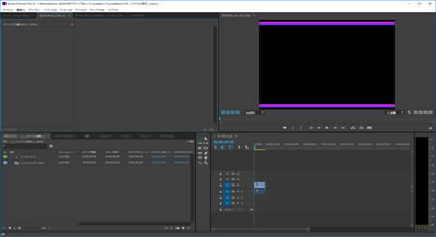 Adobe CC Premiere Pro